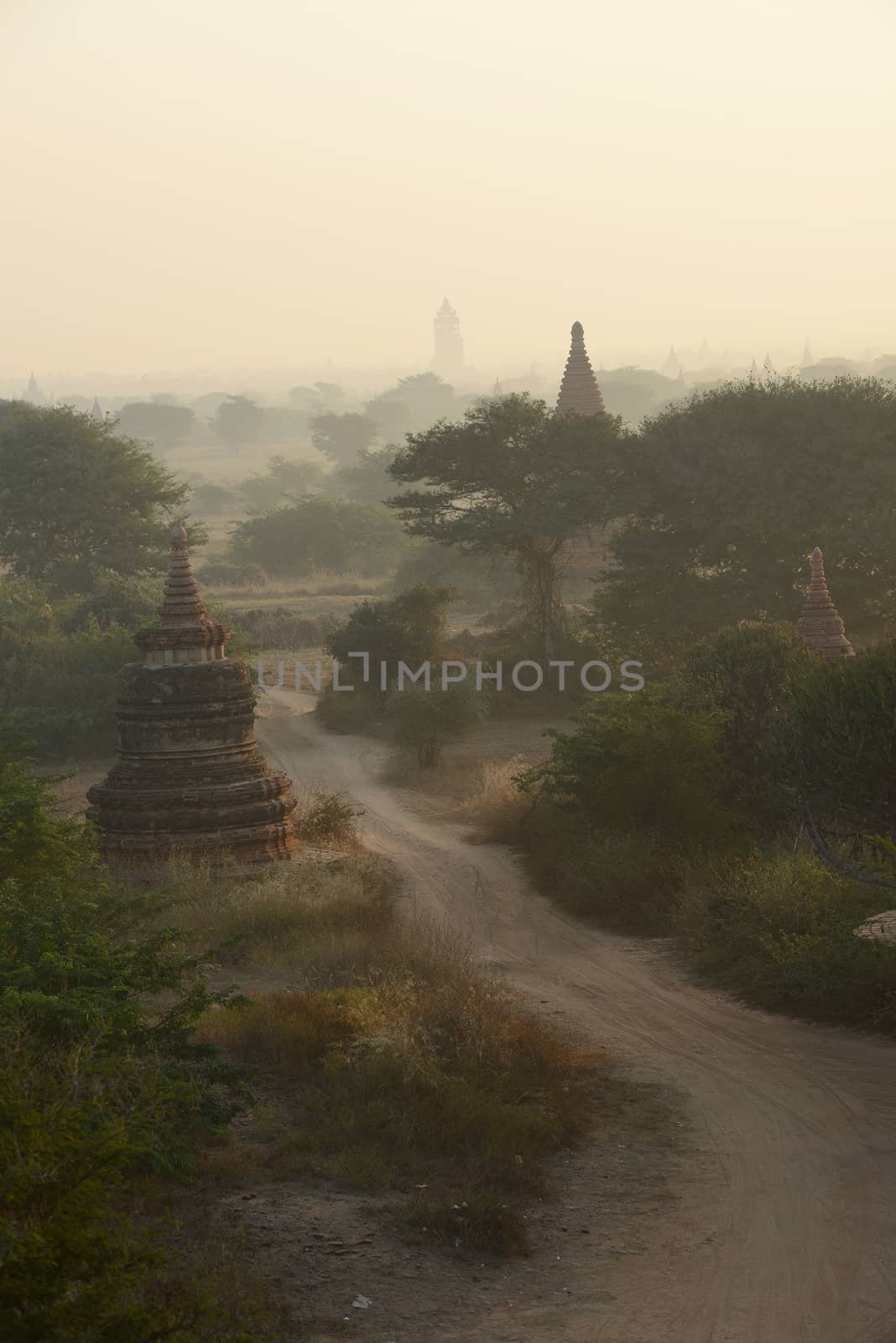 pagoda field in bagan myanmar in the morning