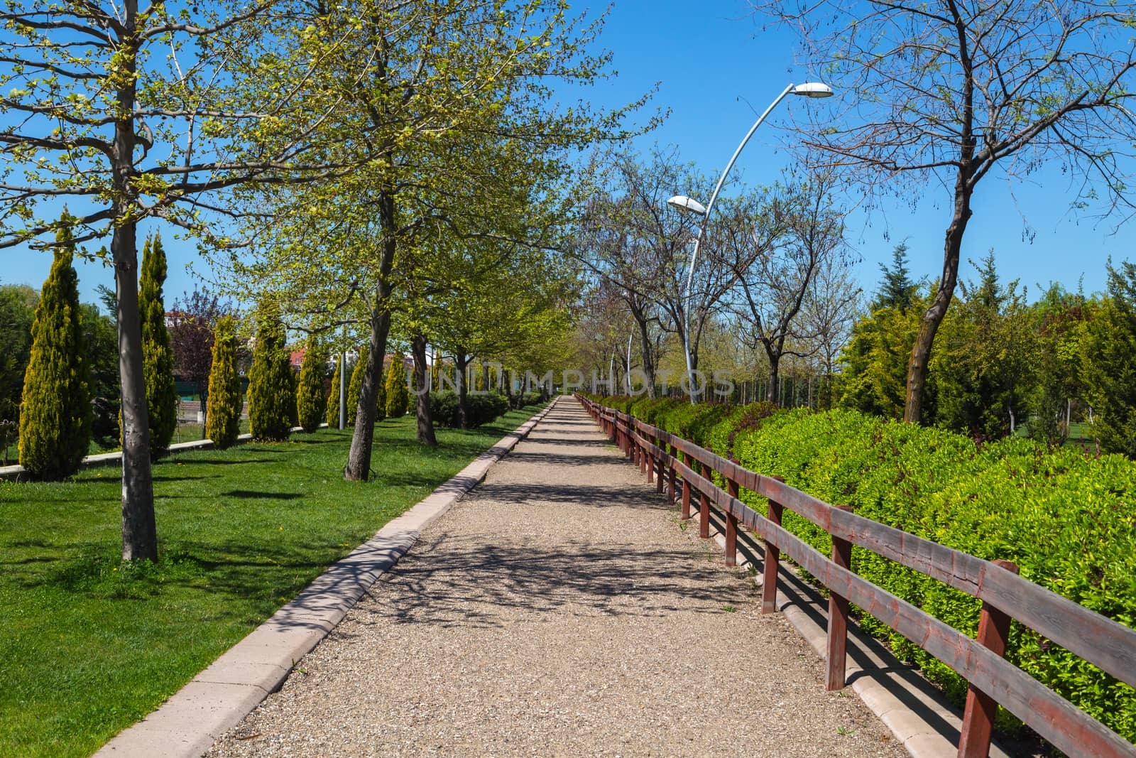 Pathway in Park by niglaynike