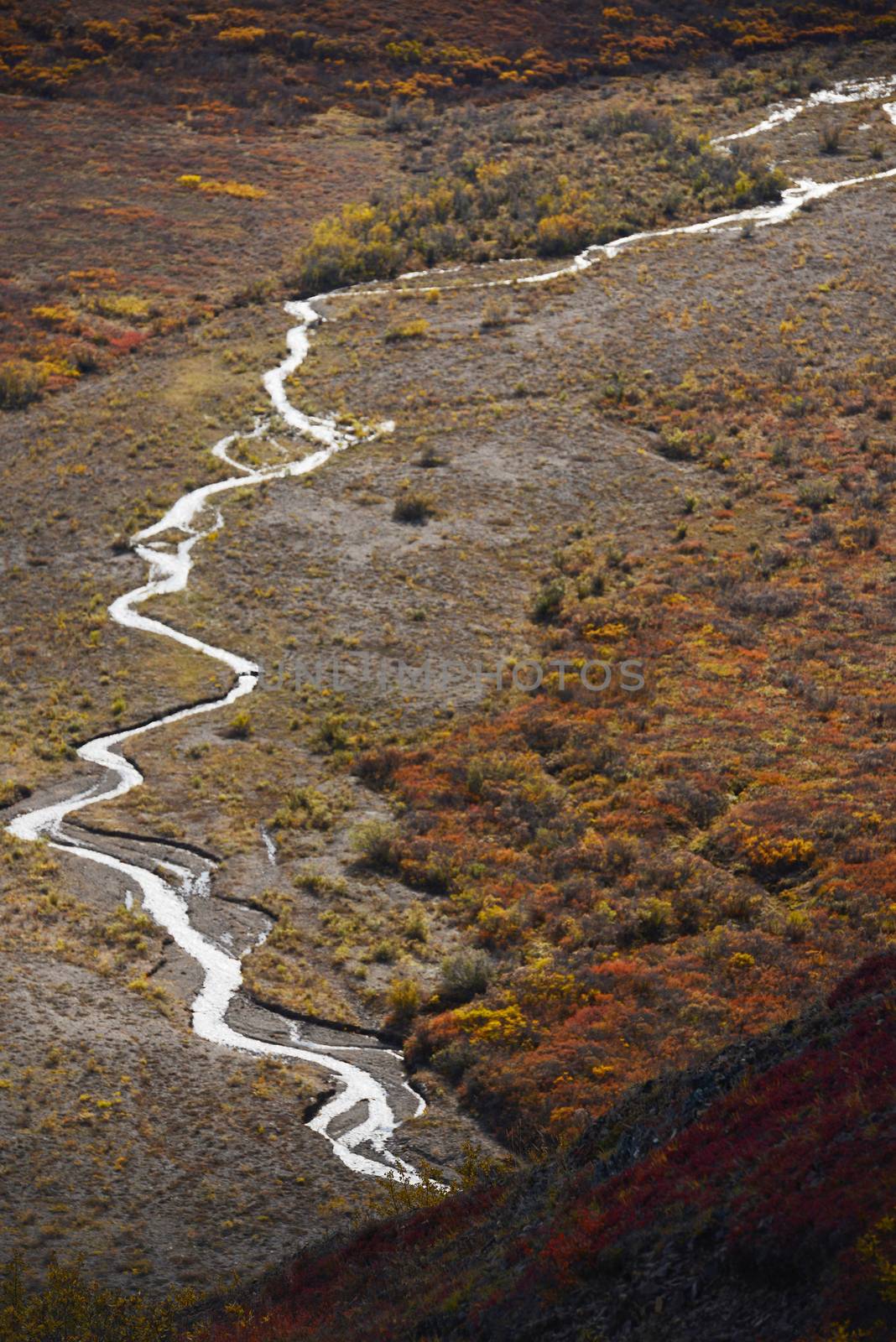 river delta in denali national park alaska