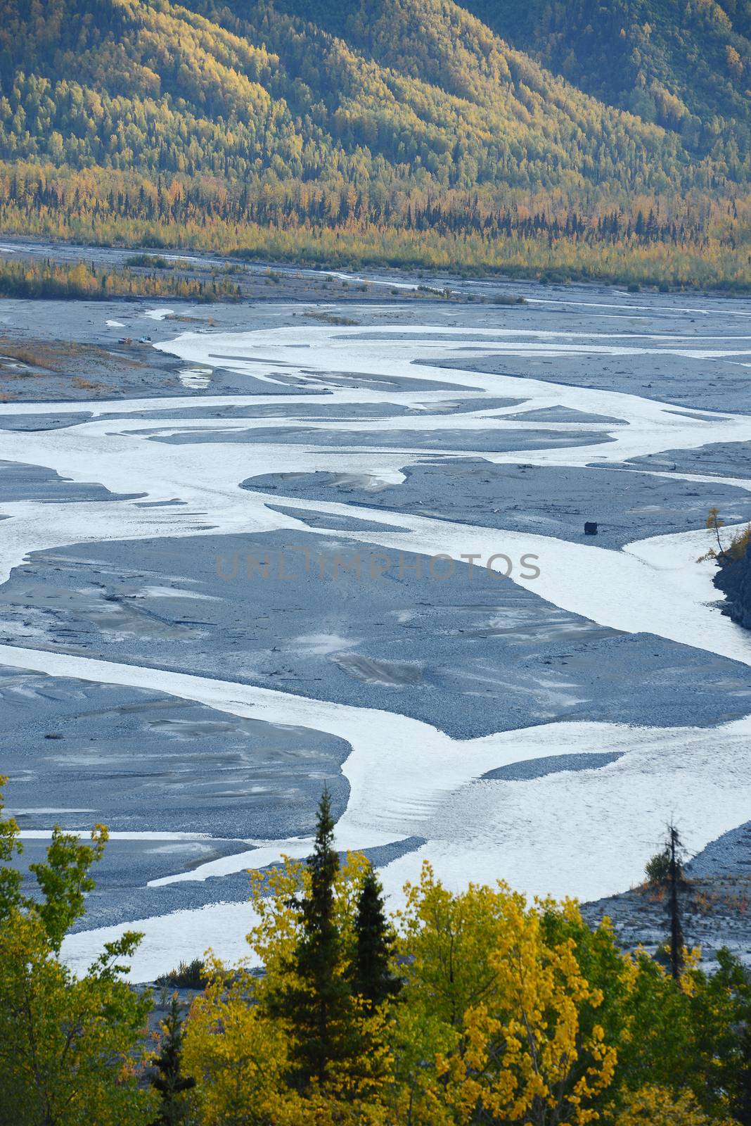 river delta in denali national park alaska