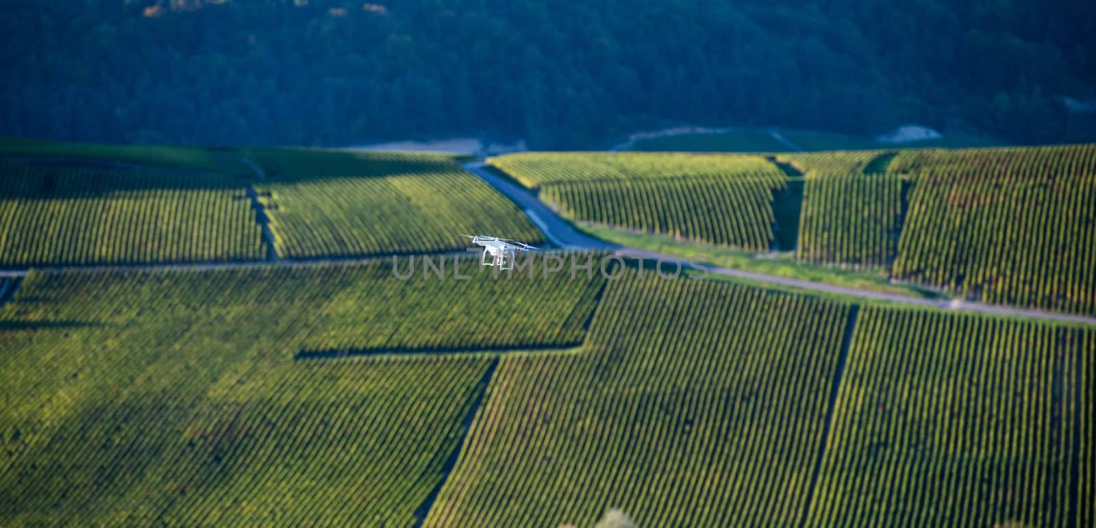 Flying utility drone over wineyard Champagne France