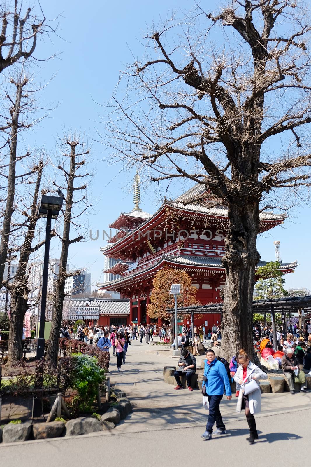 TOKYO, JAPAN - MARCH 29, 2016 :Tourist visit sensoji temple in Tokyo on 29 March 2016. Sensoji temple is the most famous attraction in Asakusa, Tokyo, Japan