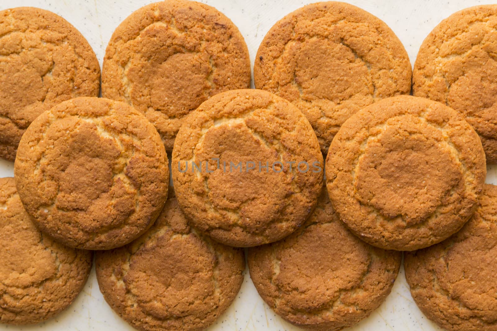 fresh oatmeal delicious round cookies close-up big group