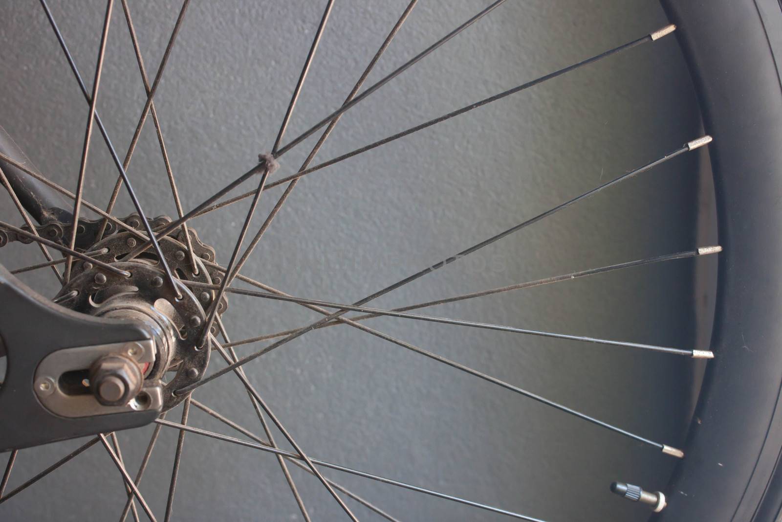bicycle wheels by primzrider