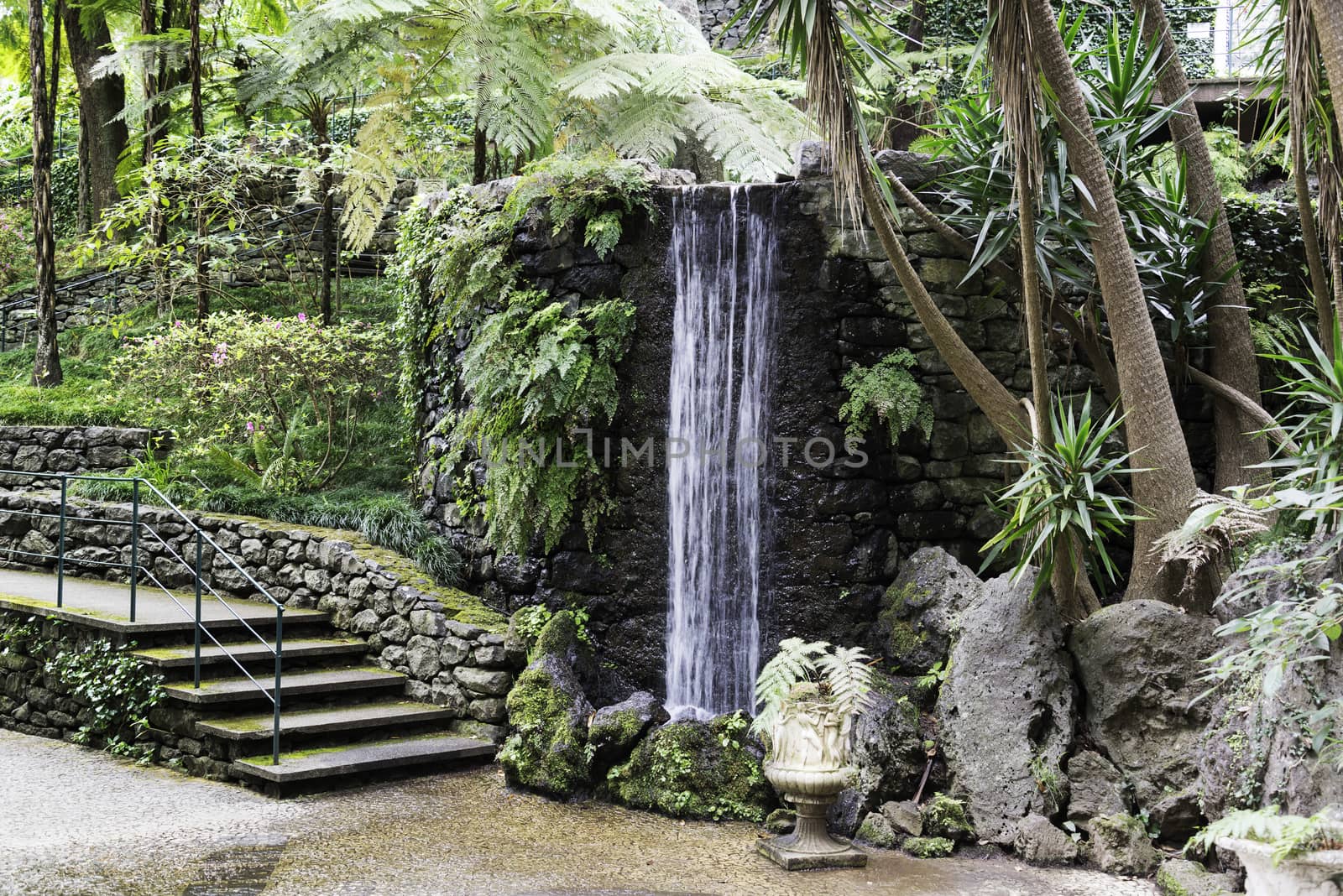Waterfall in the tropican Monte Palace Garden. Funchal, Madeira, Portugal.