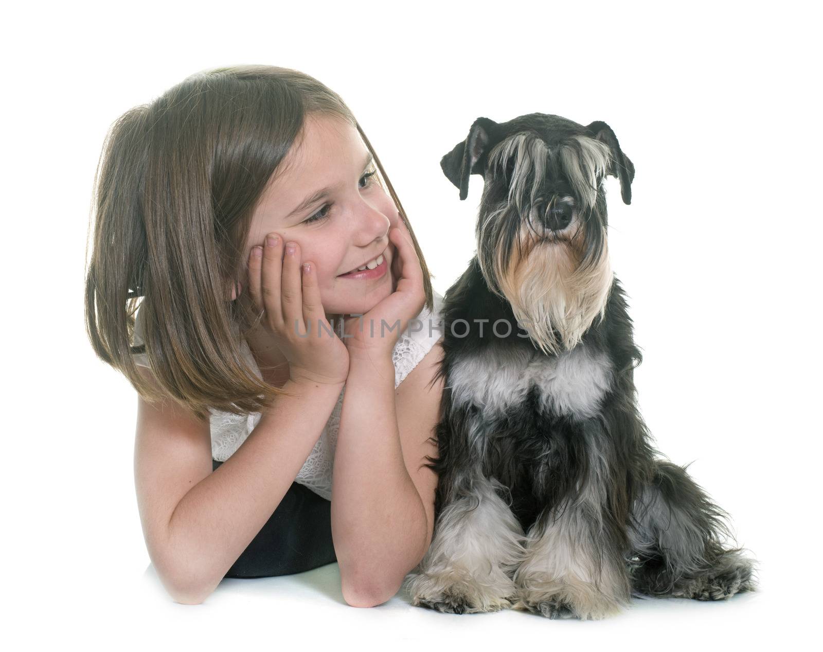 child and miniature schnauzer in studio