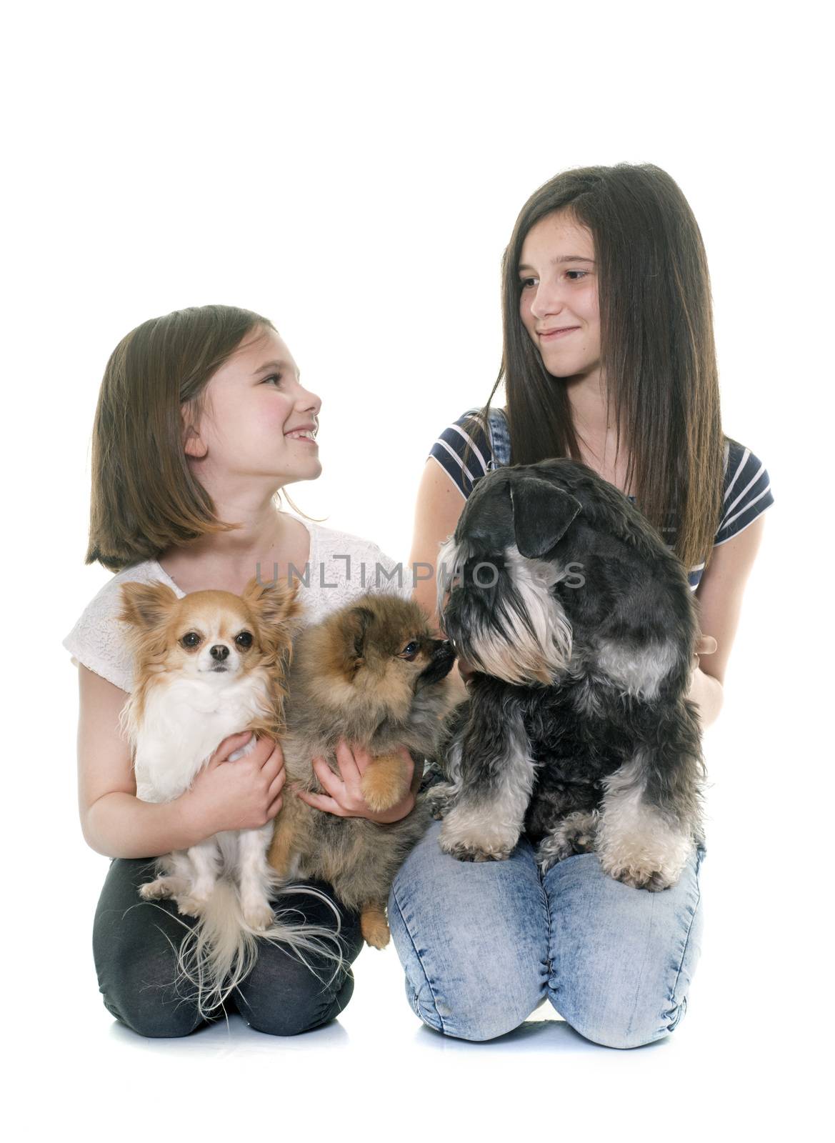 children and three dogs in studio