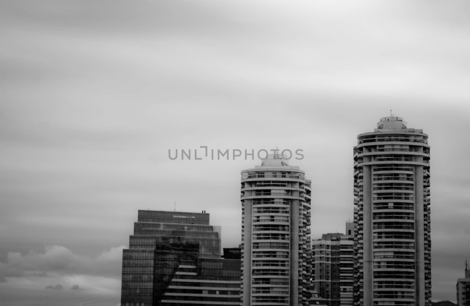 Skyline of skyscrapers in black and white