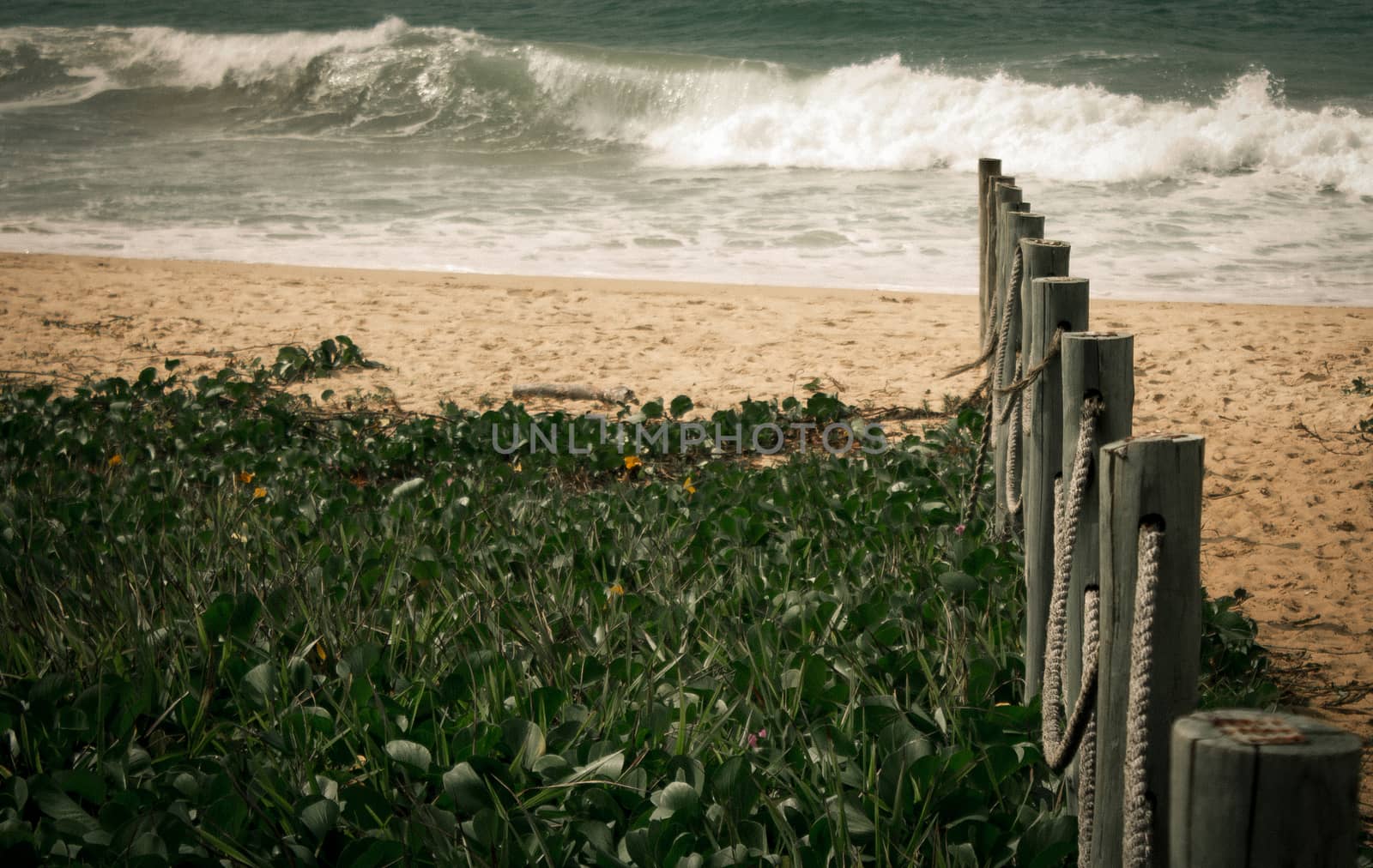Wooden fence leading to the beach
