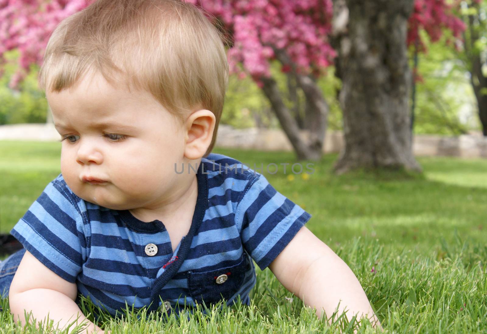 Baby Boy On the Grass by AlphaBaby