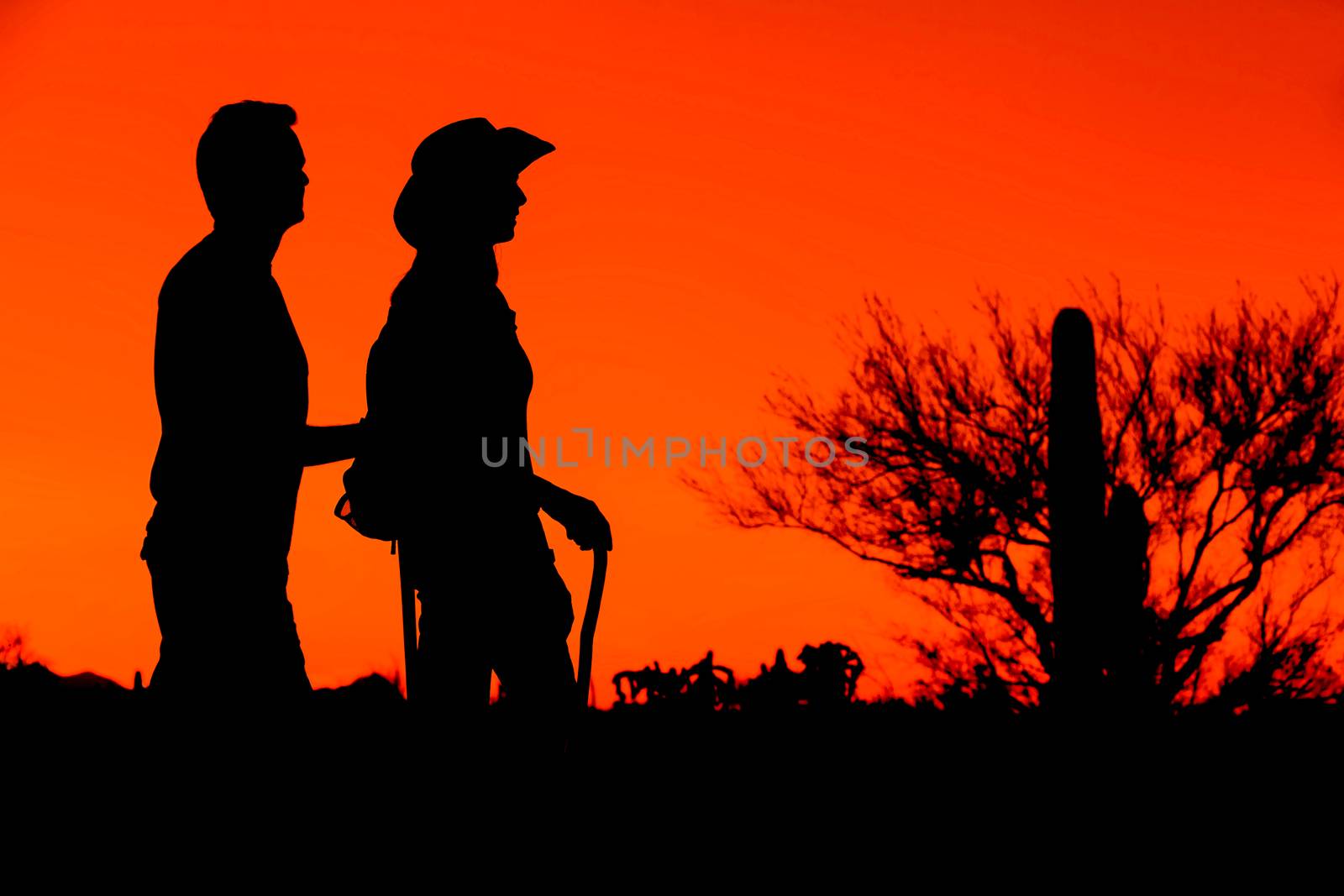 Hiker Silhouettes by Creatista