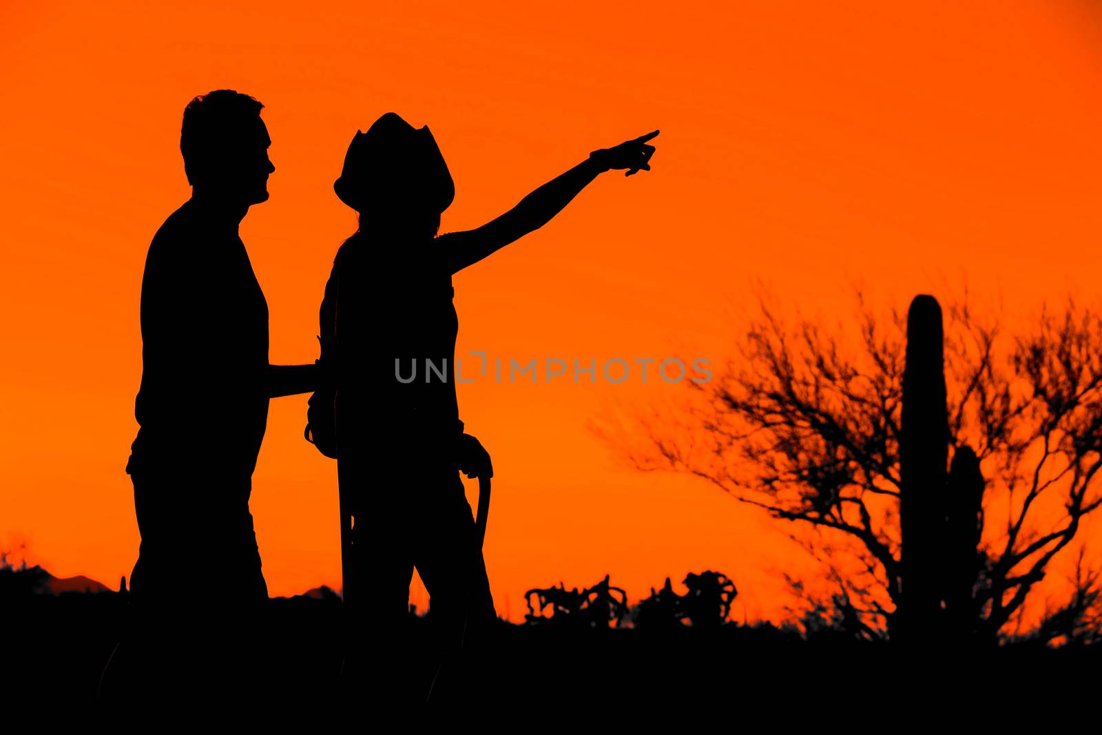 Afternoon desert hikers in the American Southwest in silhouette