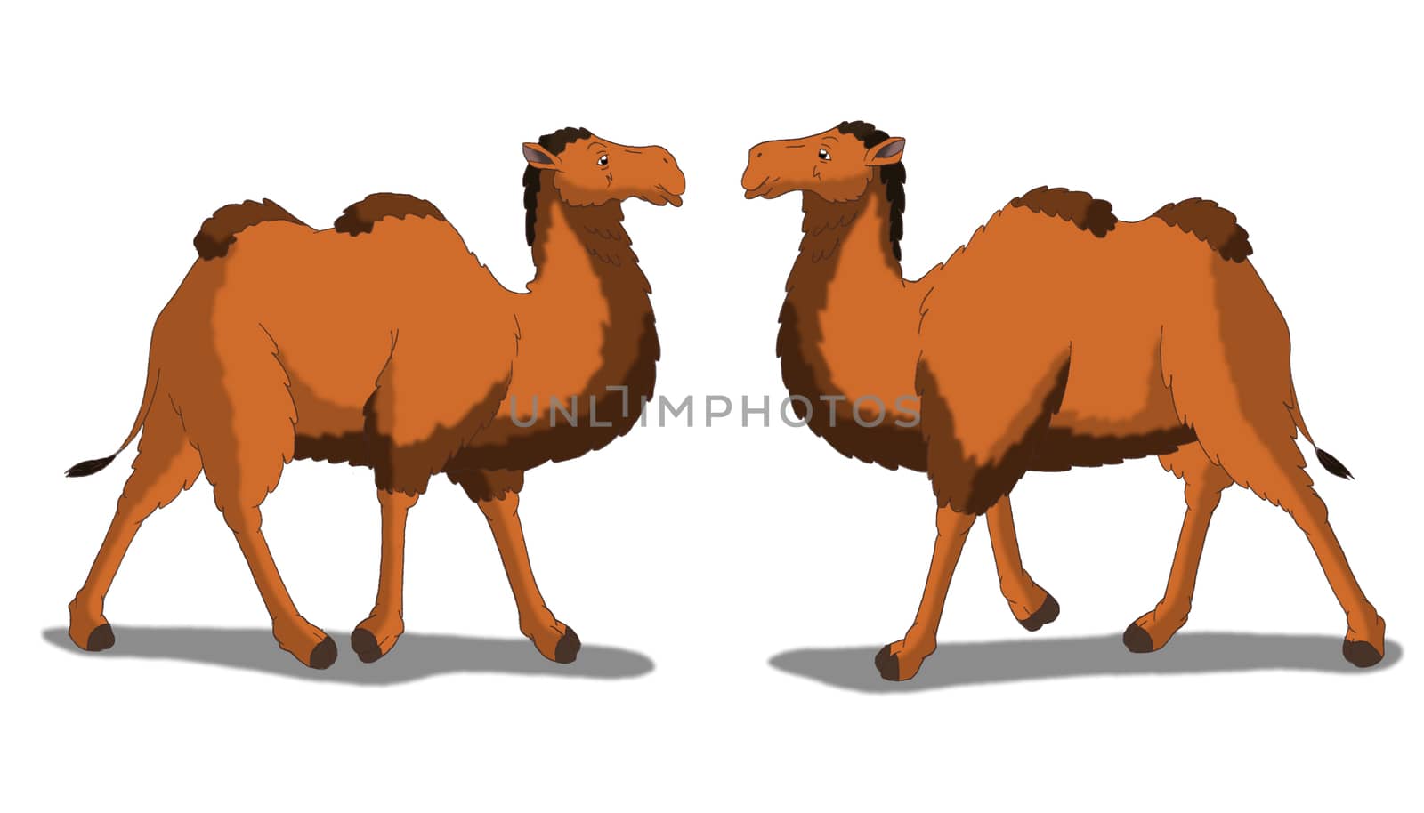 Digital painting of the Bactrian Camel