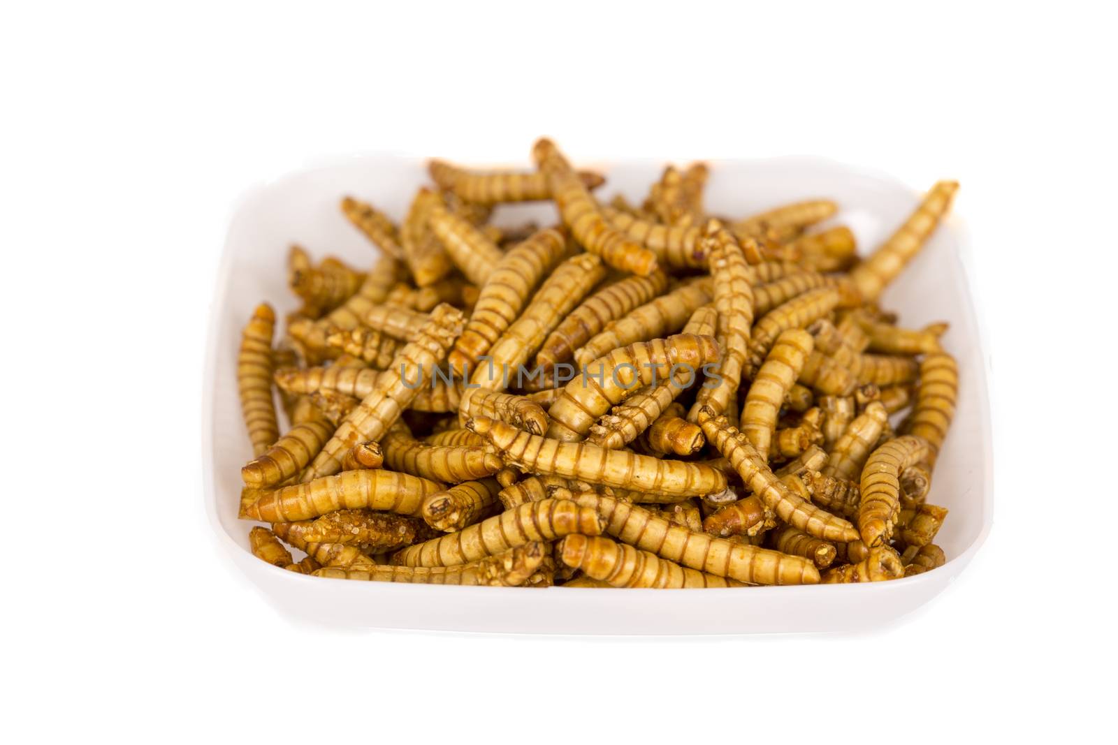 Plate of fried insects. molitors, Protein rich future ood