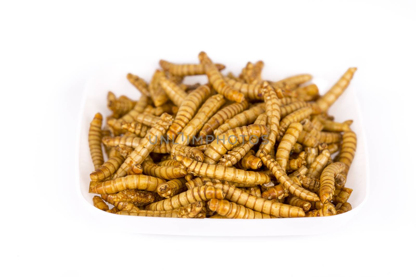 Fried insects Molitors, Protein rich food by CatherineL-Prod