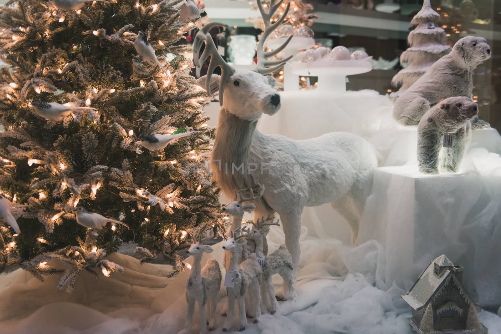 Christmas decoration with tree and snow in a window shop