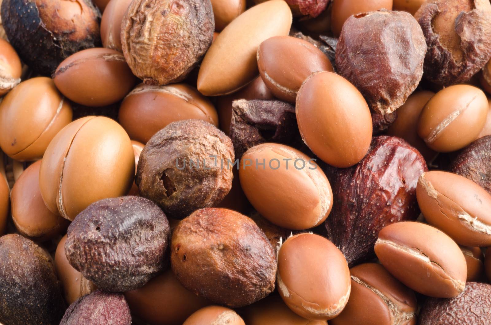 argan fruits used for cosmetic product