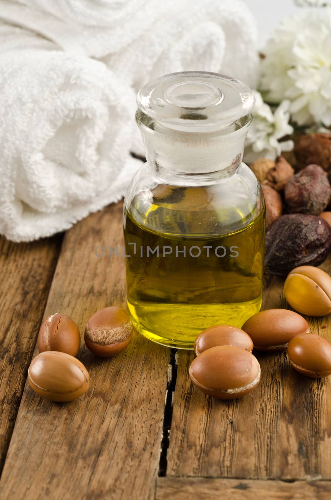 argan fruits used for cosmetic product
