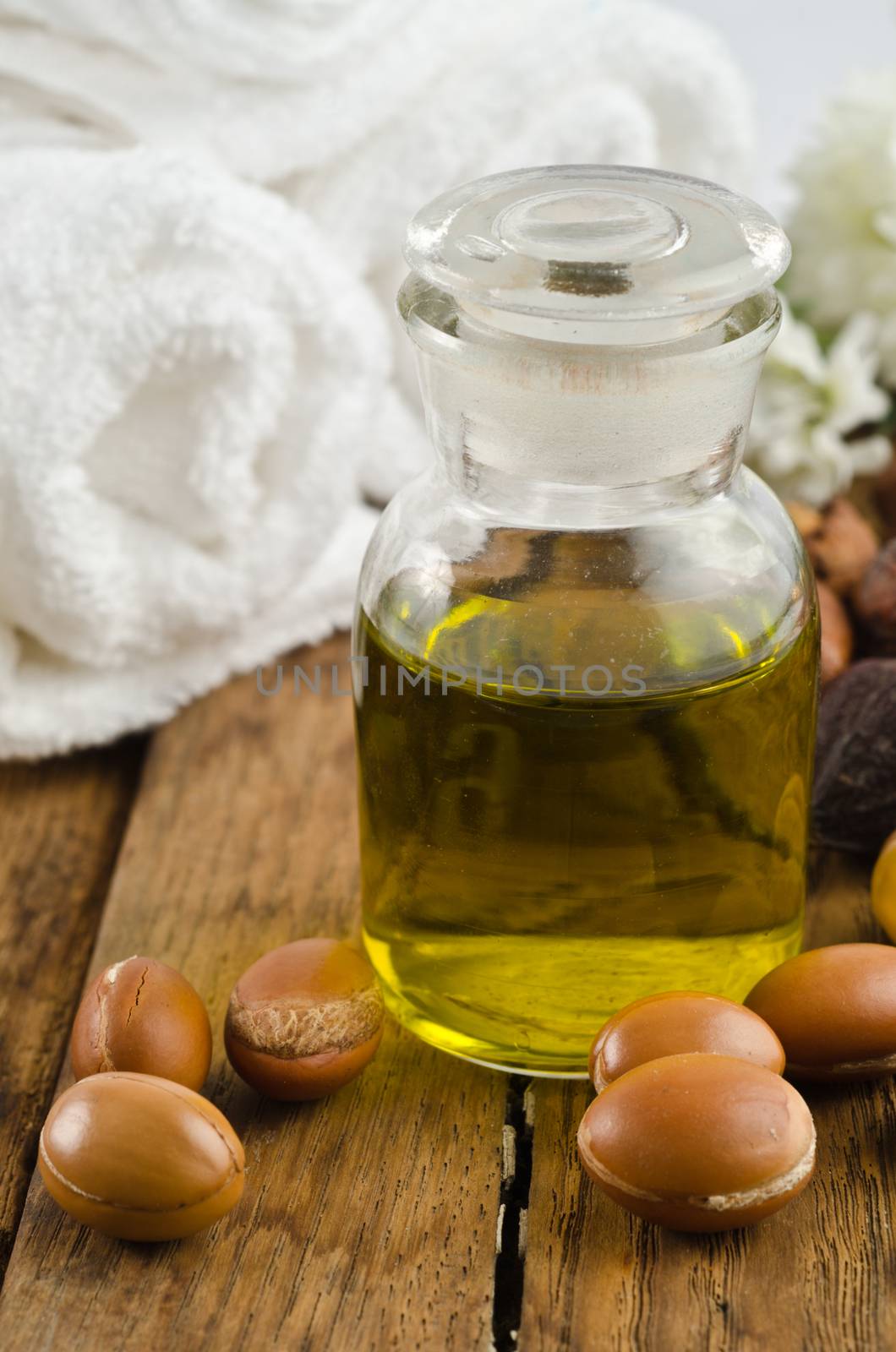 argan fruits used for cosmetic product