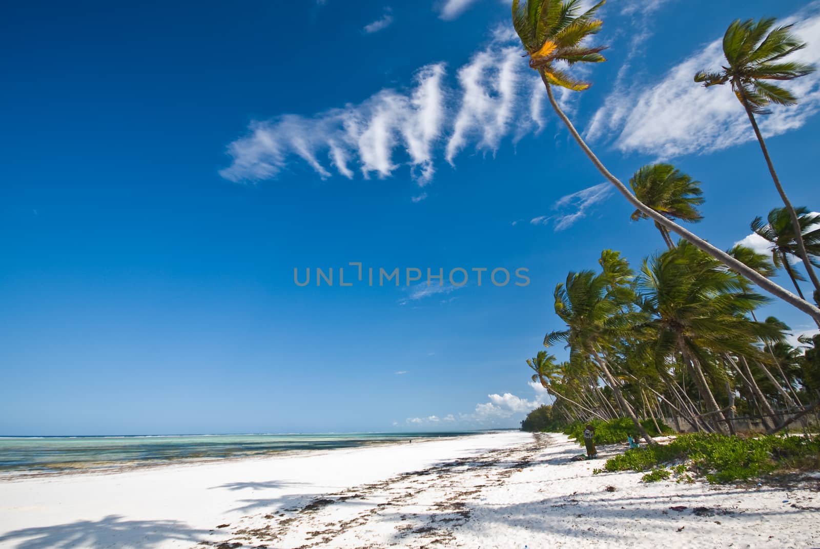 tropical beach of white sand in Zanzibar, Tanzania