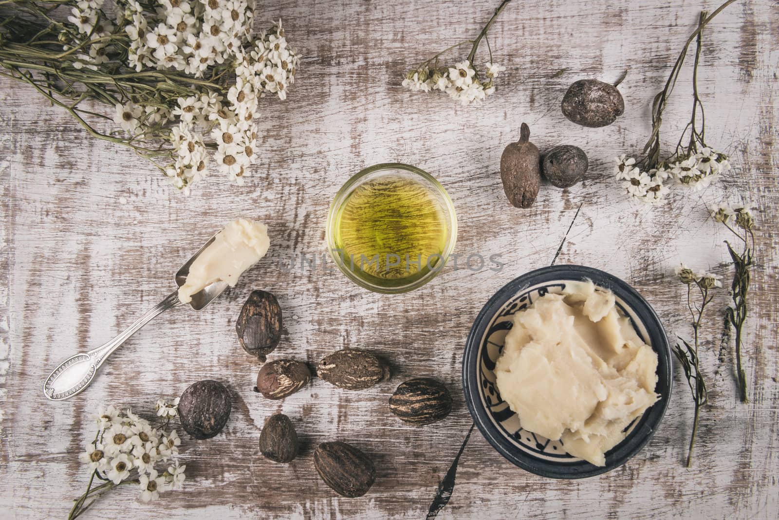 Shea butter and oil with shea nuts on a shabby white table with white flower and silver spoon