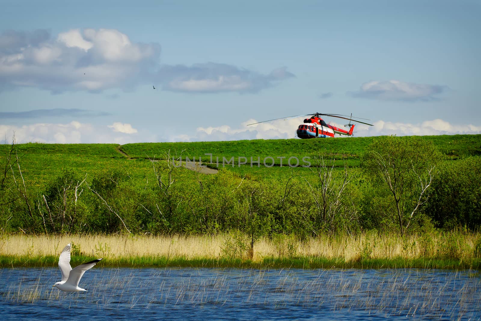 red resque helicopter on green grass with blue sky background