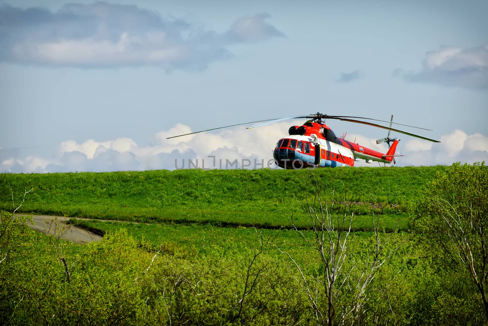 red helicopter on green grass by mowgli