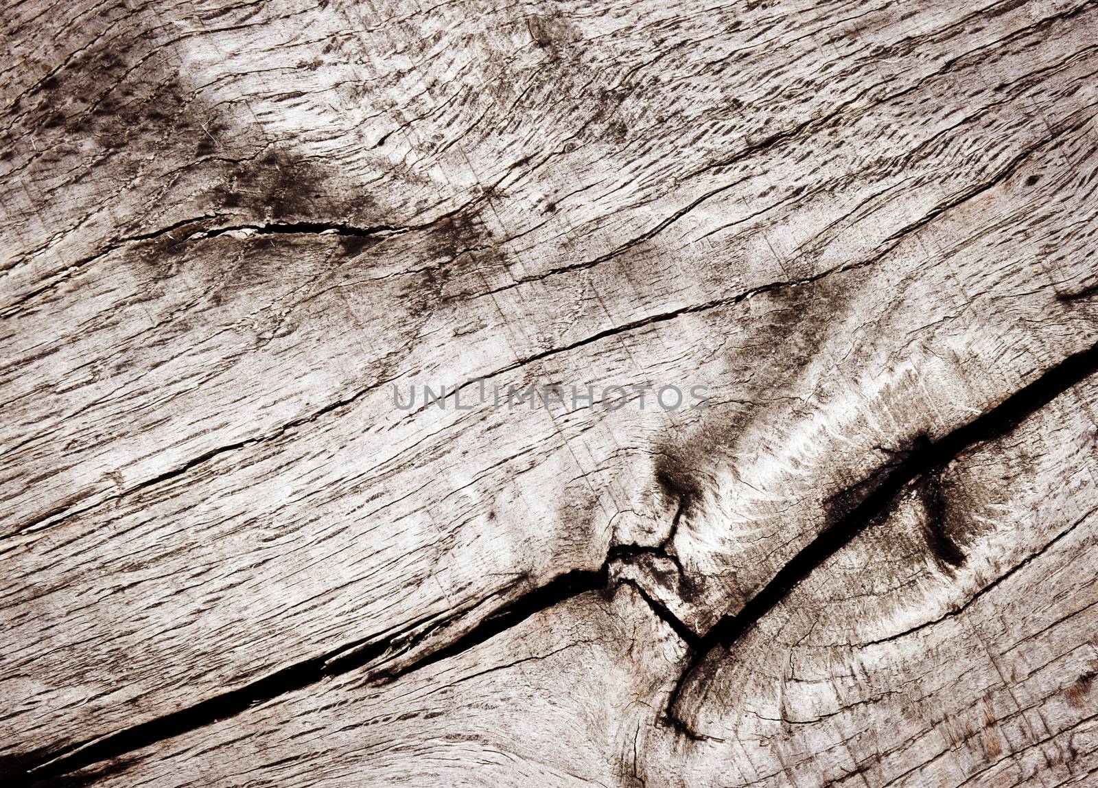 abstract retro background or texture cracks in old oak wood