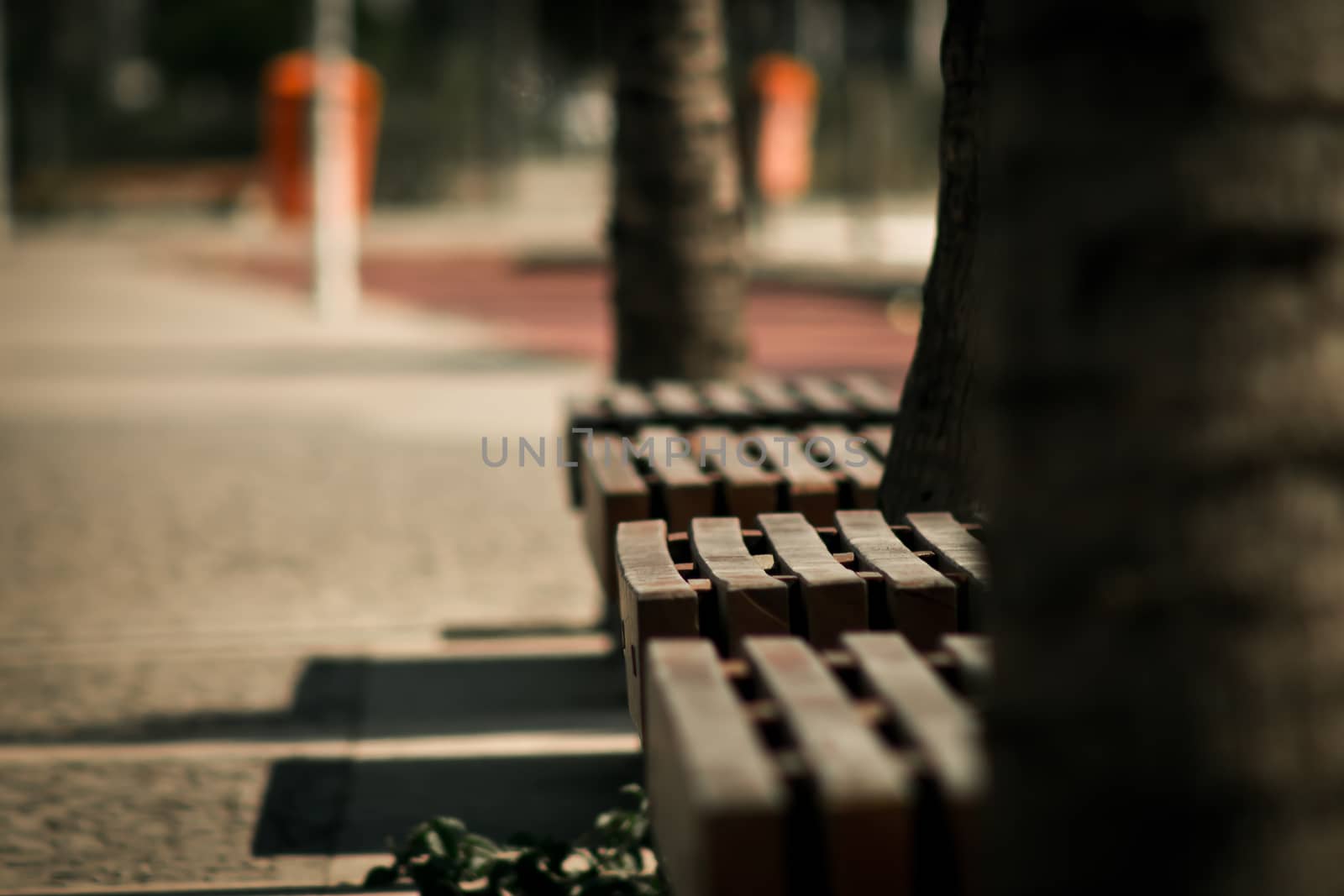 Wooden benches in a city park