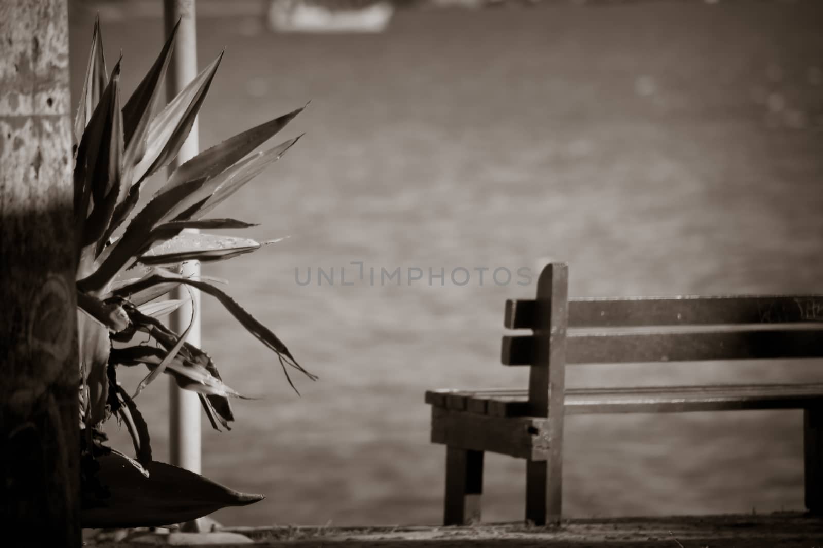 The old bench and the sea by gigiobbr