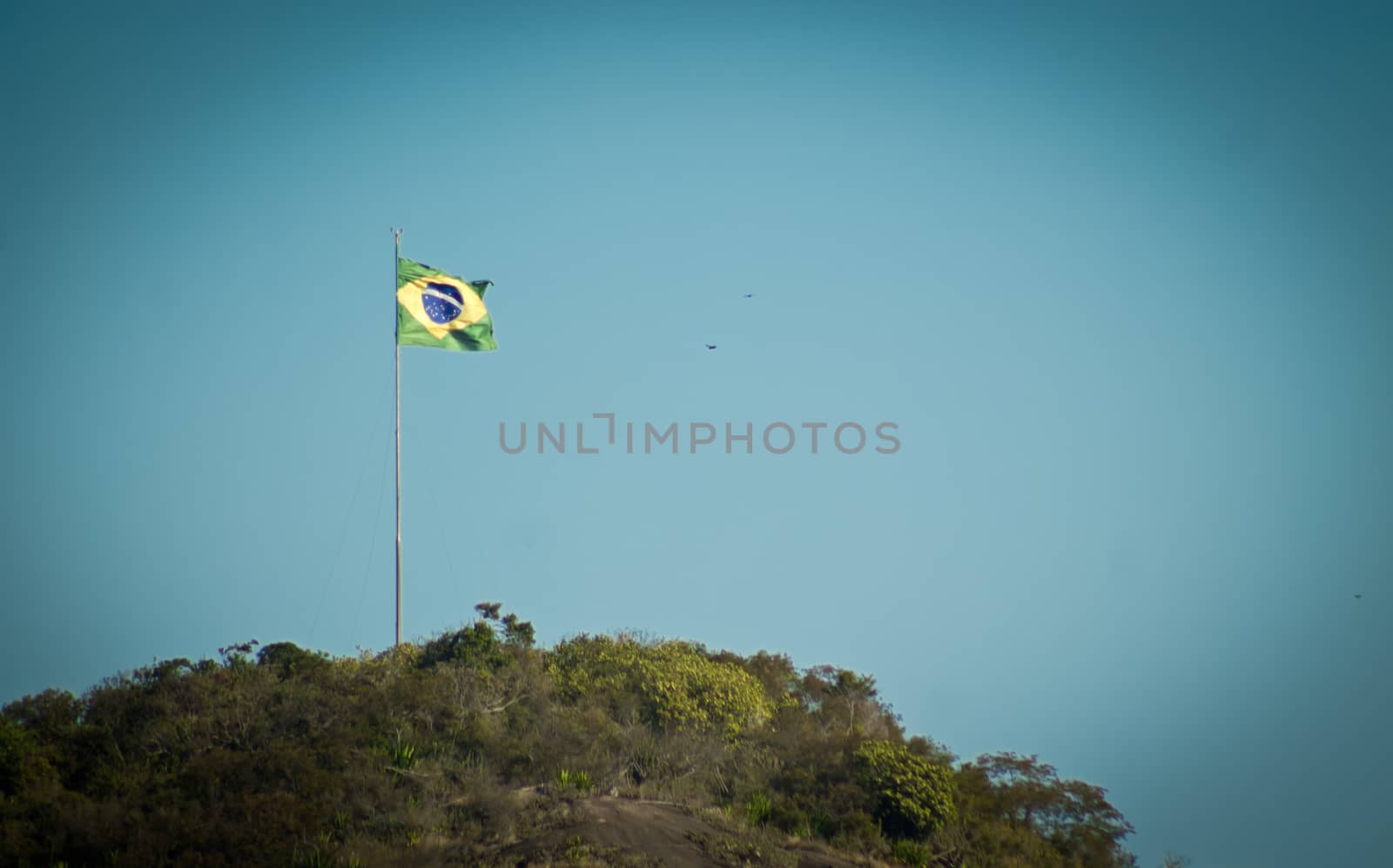 Brazilian Flag over hill tree and blue sky