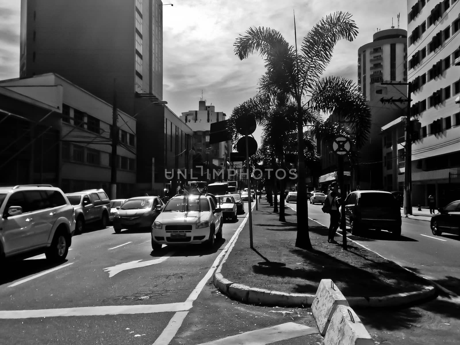 Black and white street view with cars