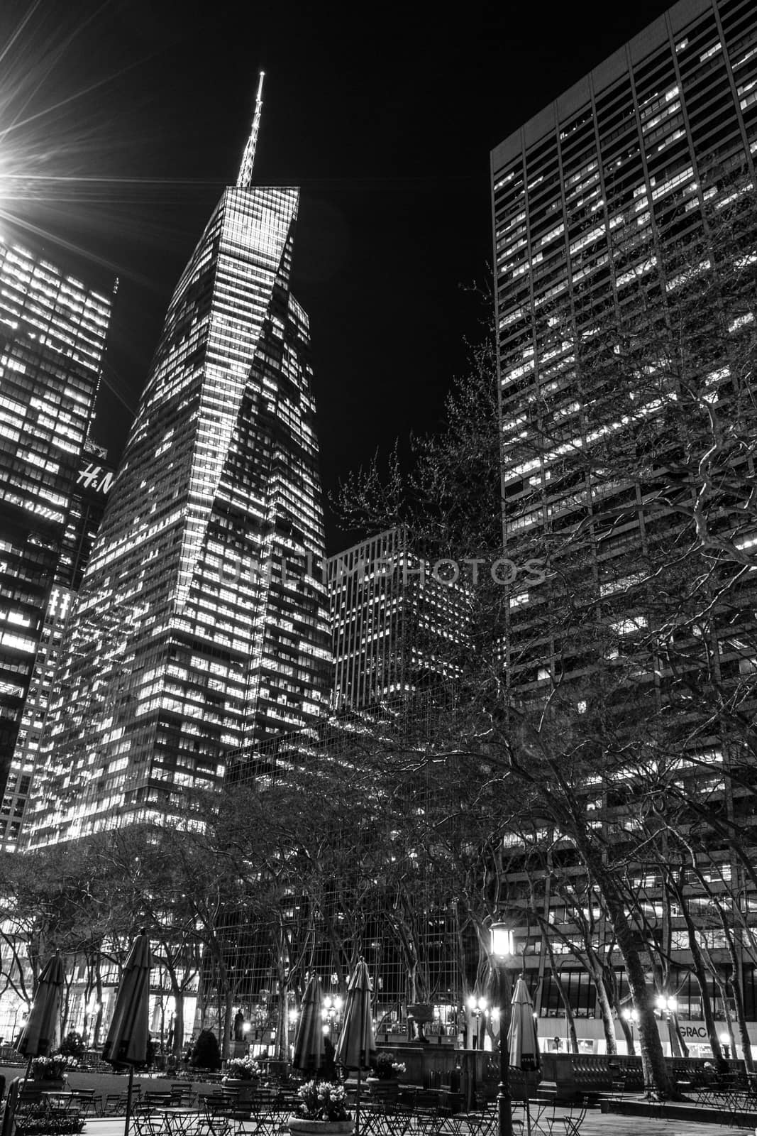 Night lights in Bryant Park in black and white by rmbarricarte