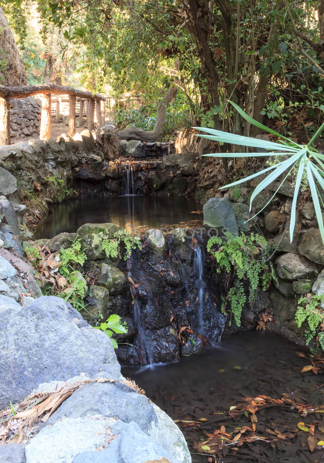 Hiking trail with ferns, small waterfalls and ponds in Los Angeles, California, United States