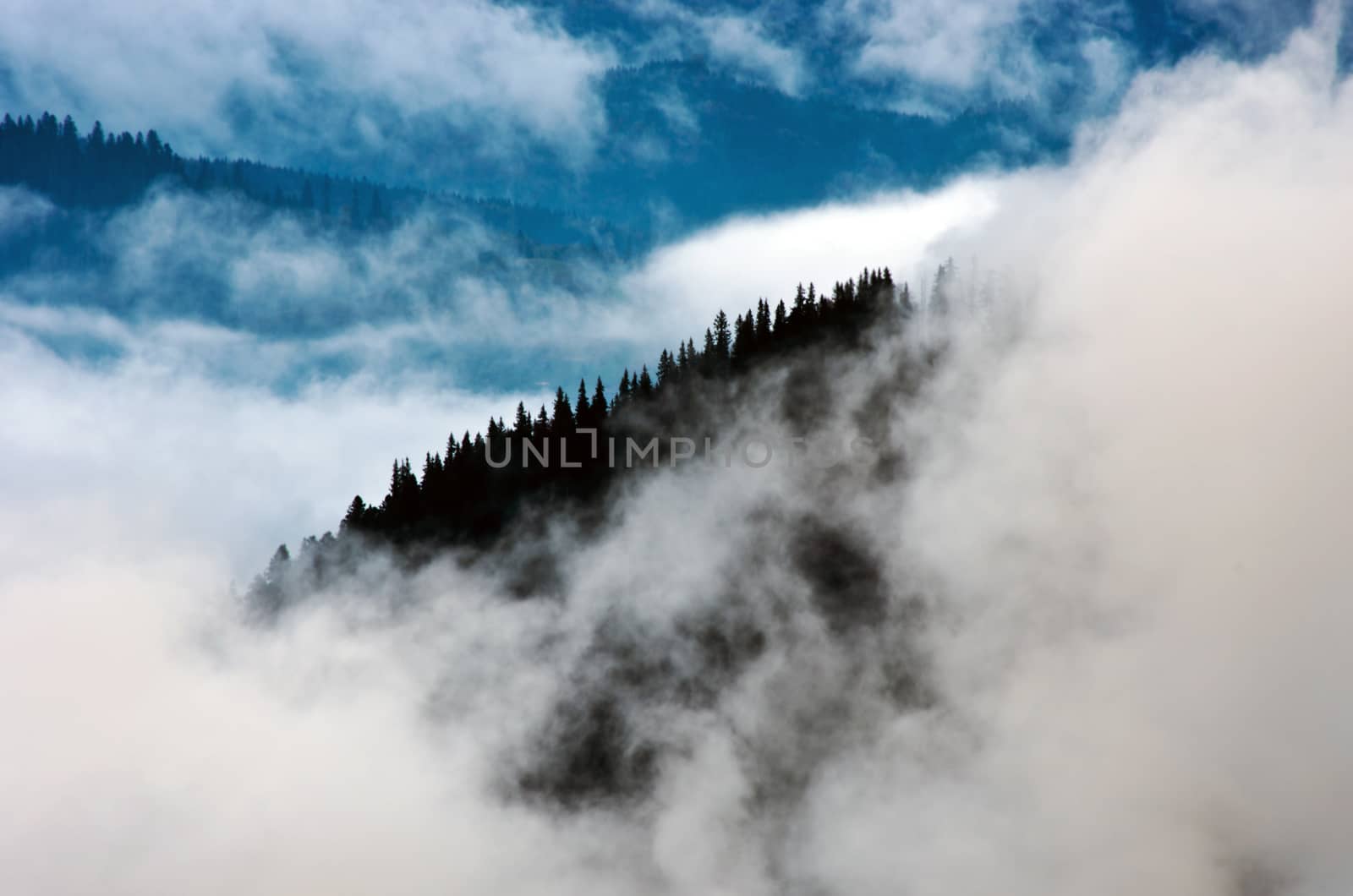 Amazing mountain landscape with dense fog. Carpathian Mountains by dolnikow