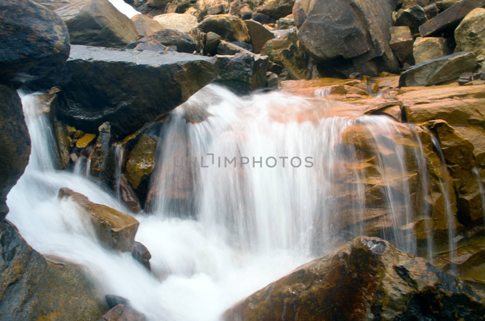 Stream among melting snow in a Carpathian Mountains by dolnikow