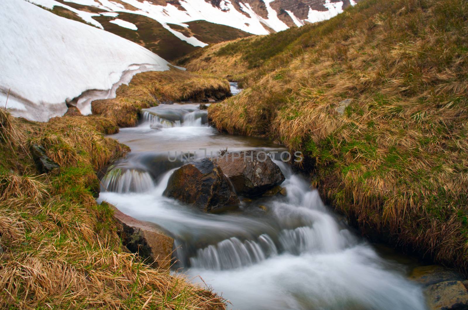 Stream among melting snow in a Carpathian Mountains by dolnikow