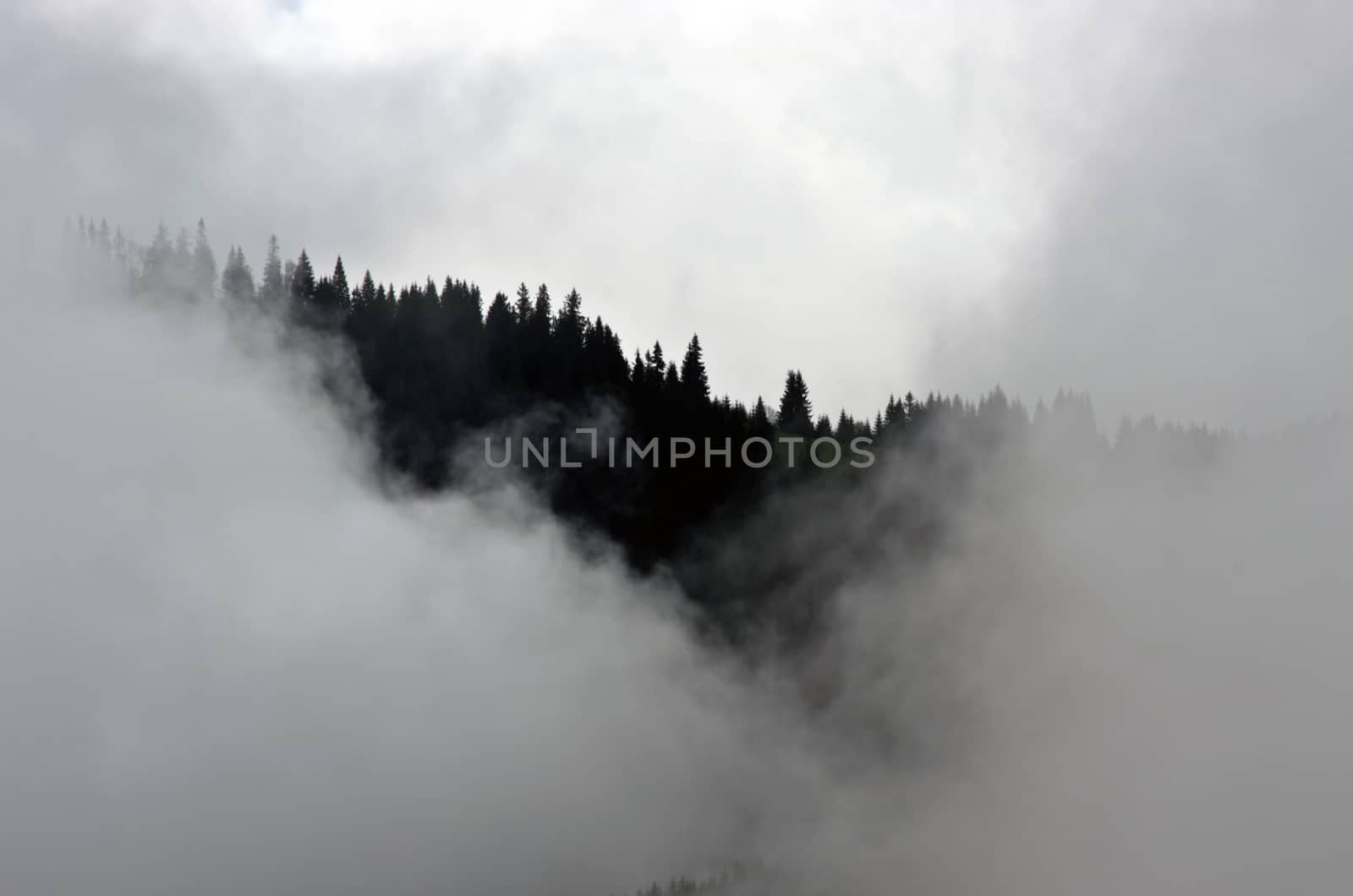 Amazing mountain landscape with dense fog. Carpathian Mountains by dolnikow