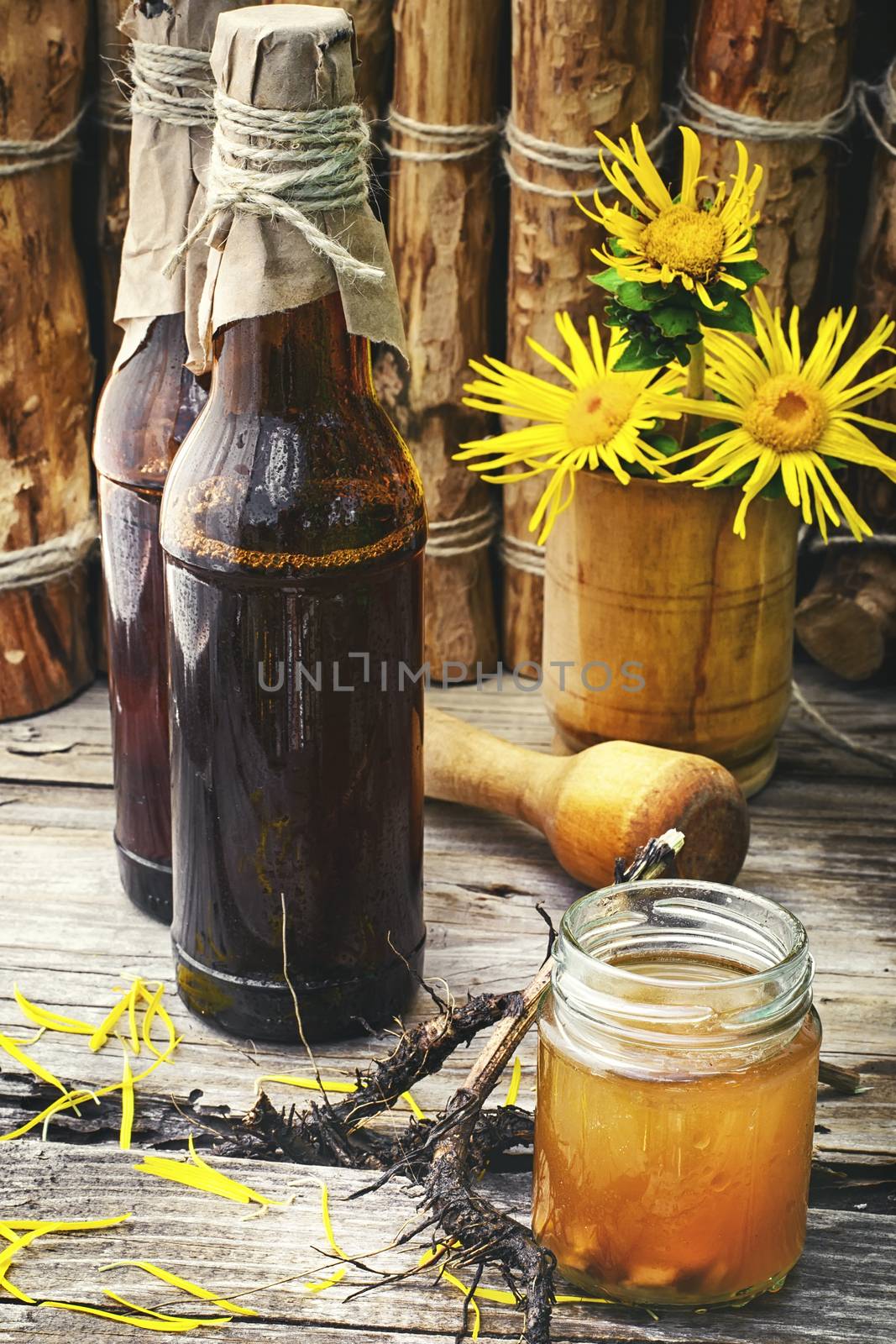 Medicinal folk remedy tincture from the roots of inula