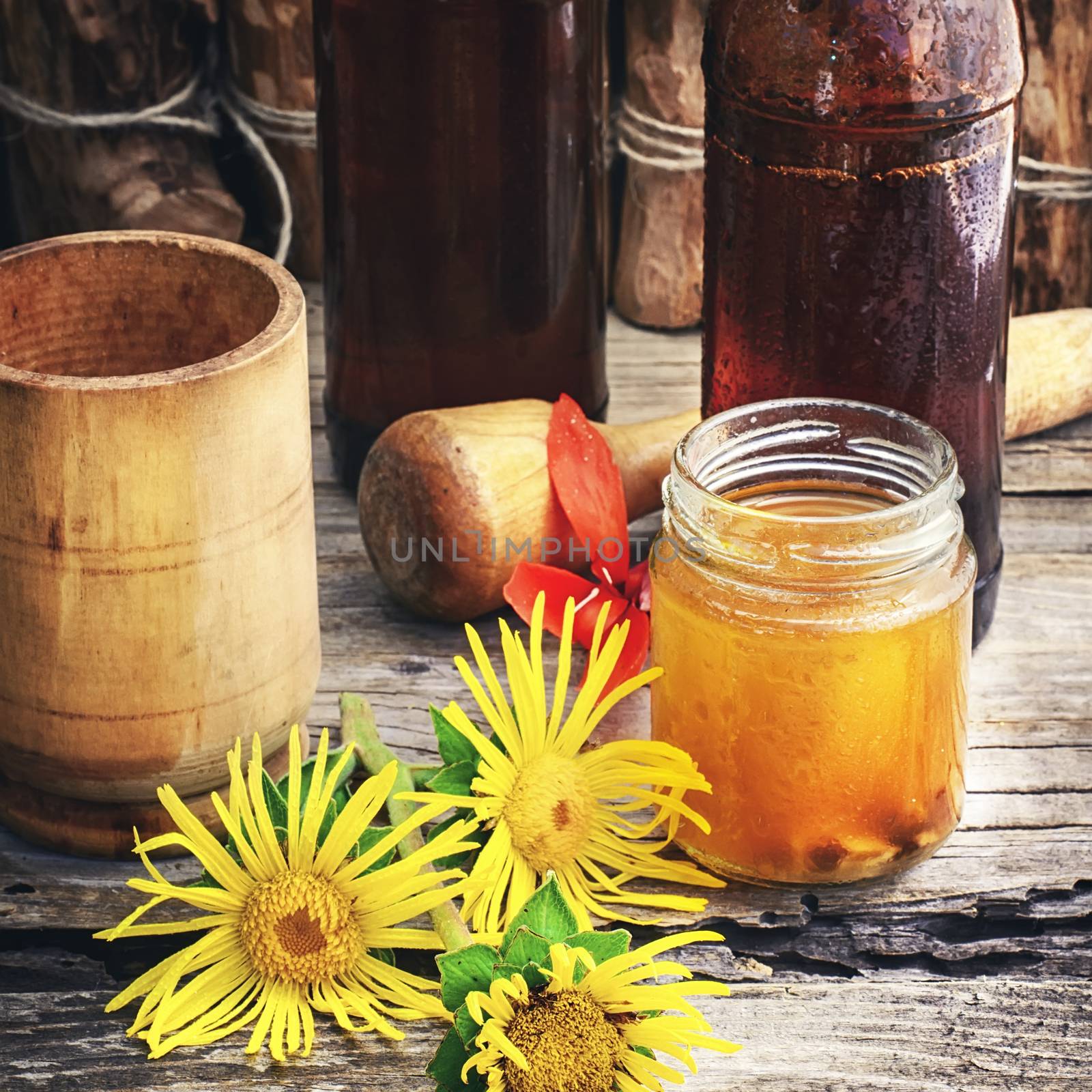 Medicinal folk remedy tincture from the roots of inula