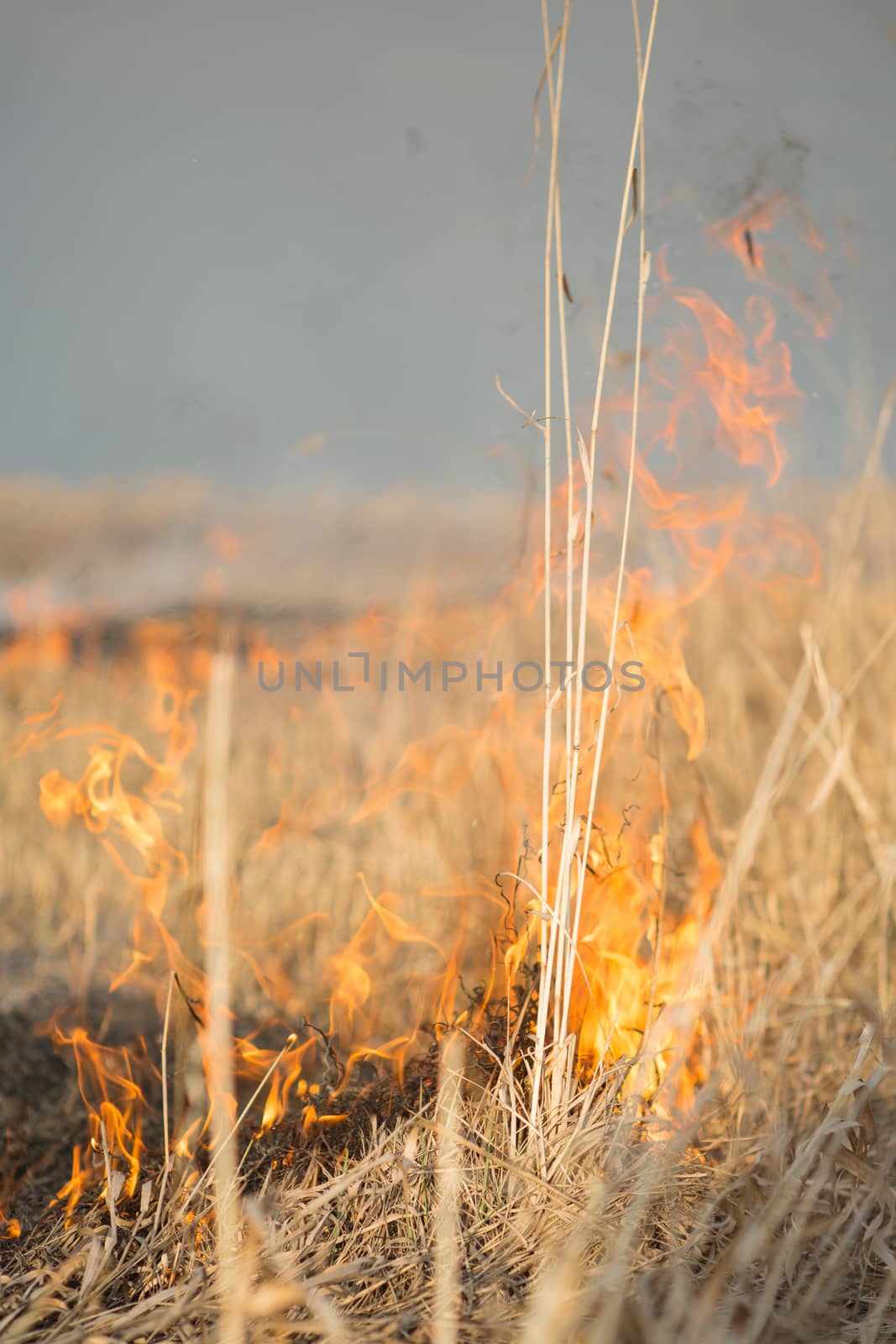 burns dry grass fire in a rural location