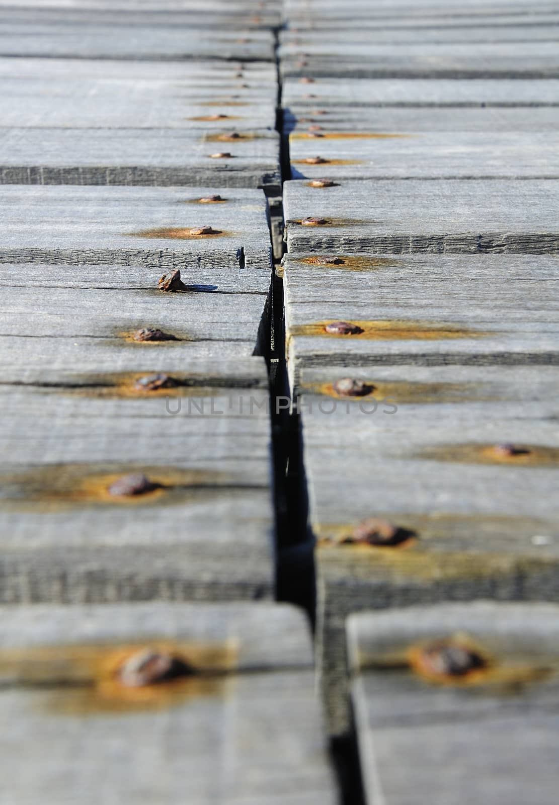 Rusty nails hammered on the boards rot