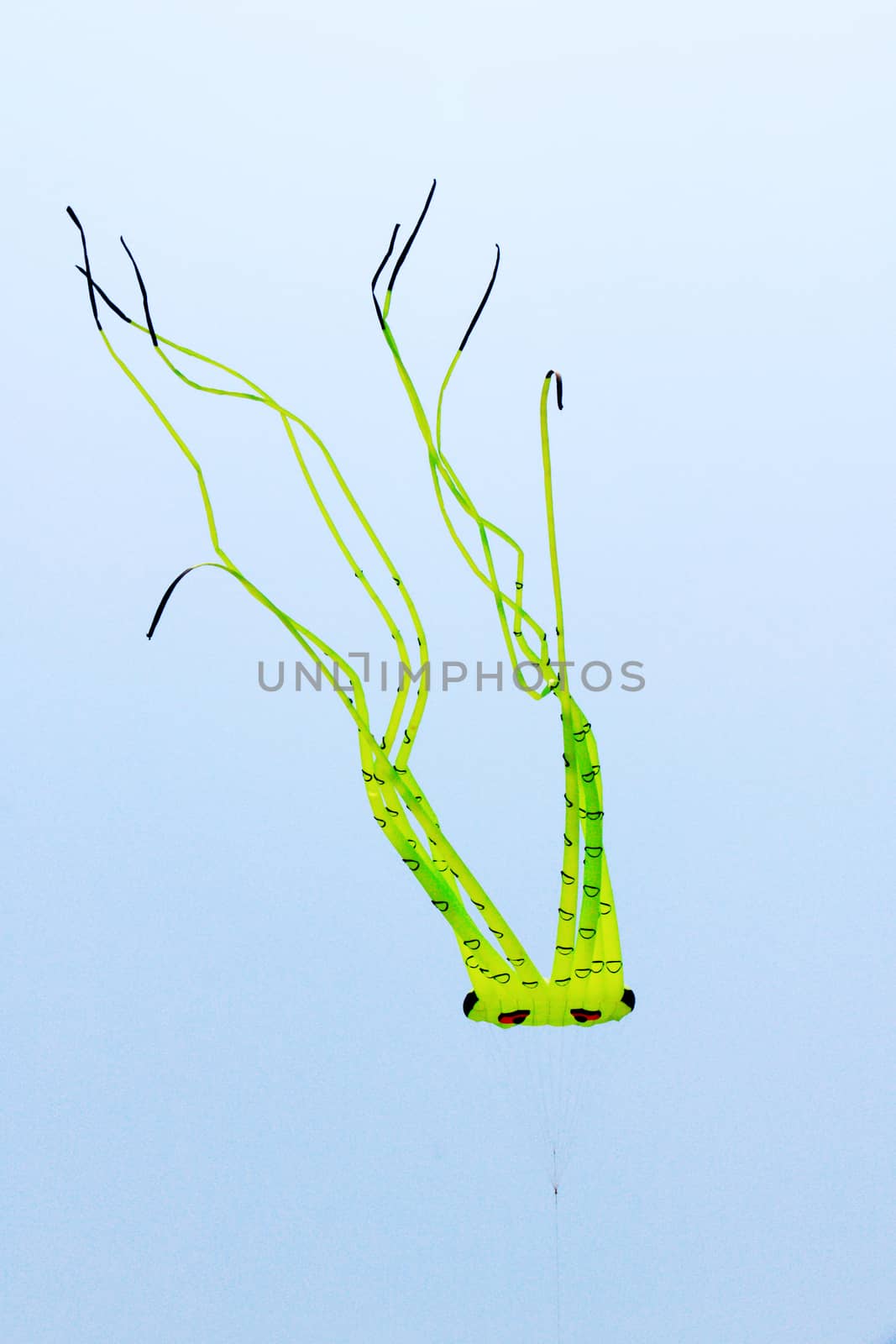 colorful kite in the blue sky at the summer holidays time