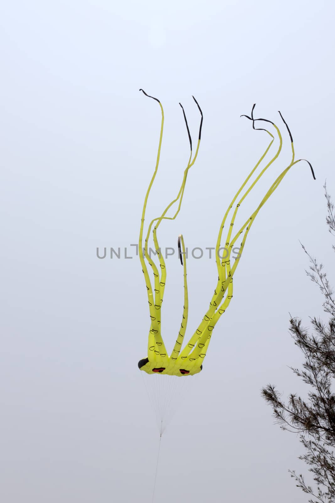 colorful kite in the blue sky at the summer holidays time