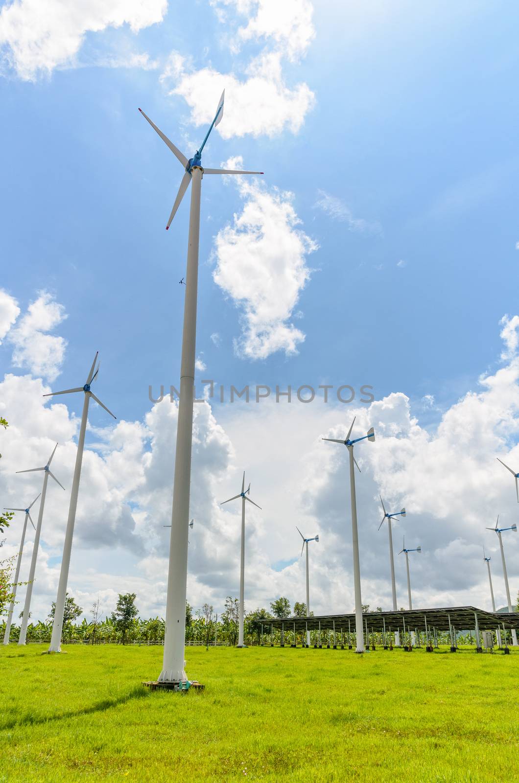 Group wind turbine generator of clean energy under the blue sky in Thailand