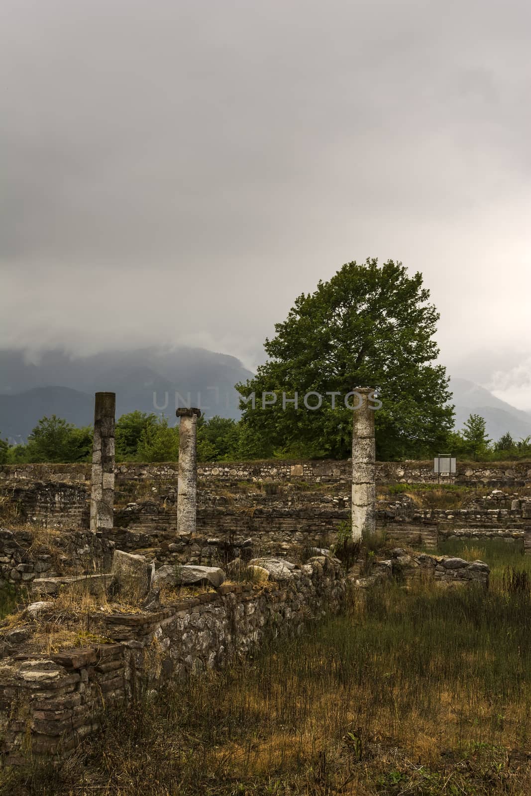 Ancient column ruins in the Dion Archeological Site at Greece