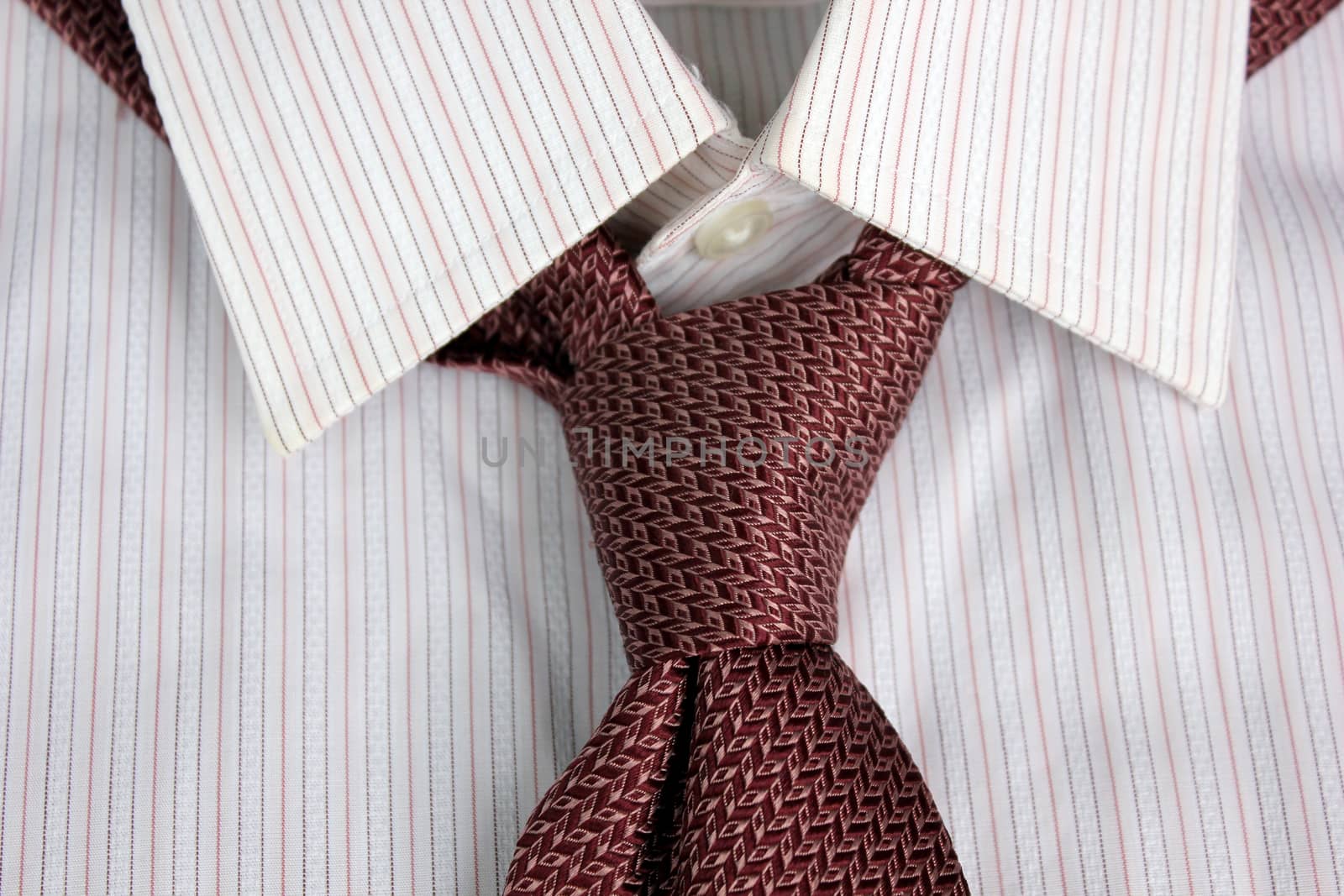 The tie tied in knot round a shirt collar
