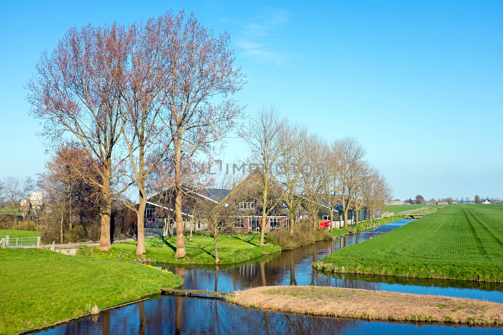 Traditional farmers house in a typical dutch landscape in the Netherlands