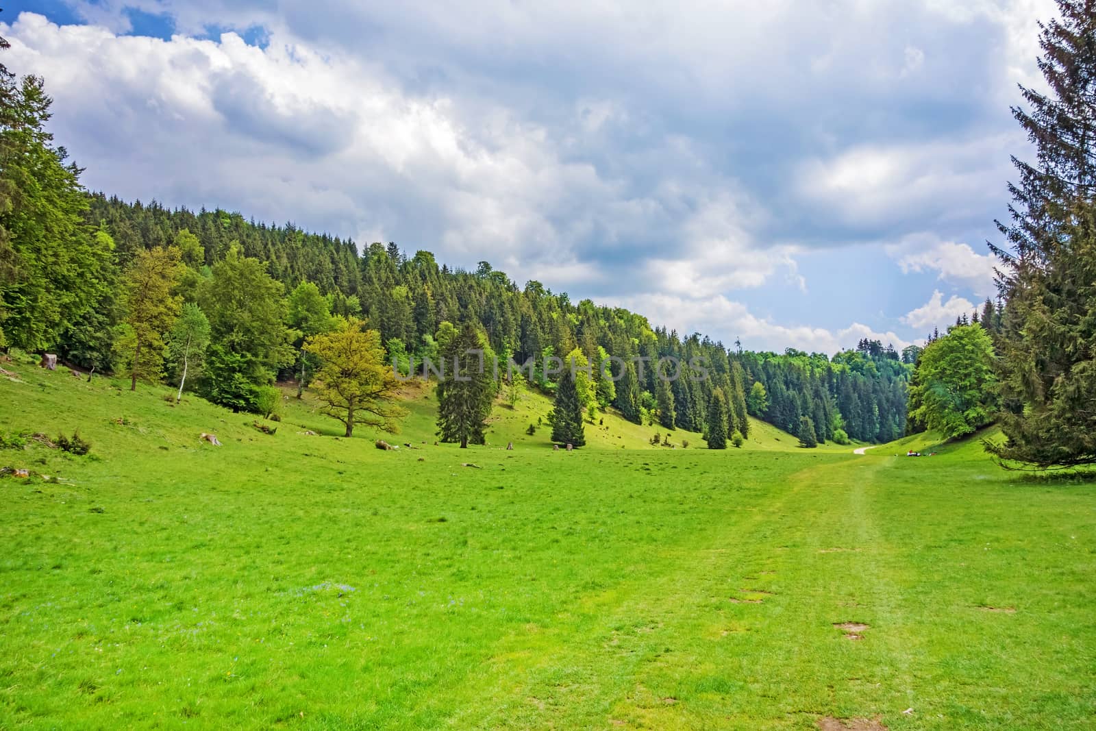 The Wental valley at Swabian Alps near Steinheim and Bartholomae