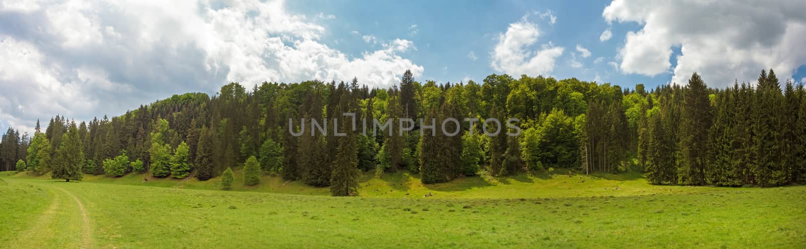 Panorama of the Wental valley at Swabian Alps near Steinheim and Bartholomae